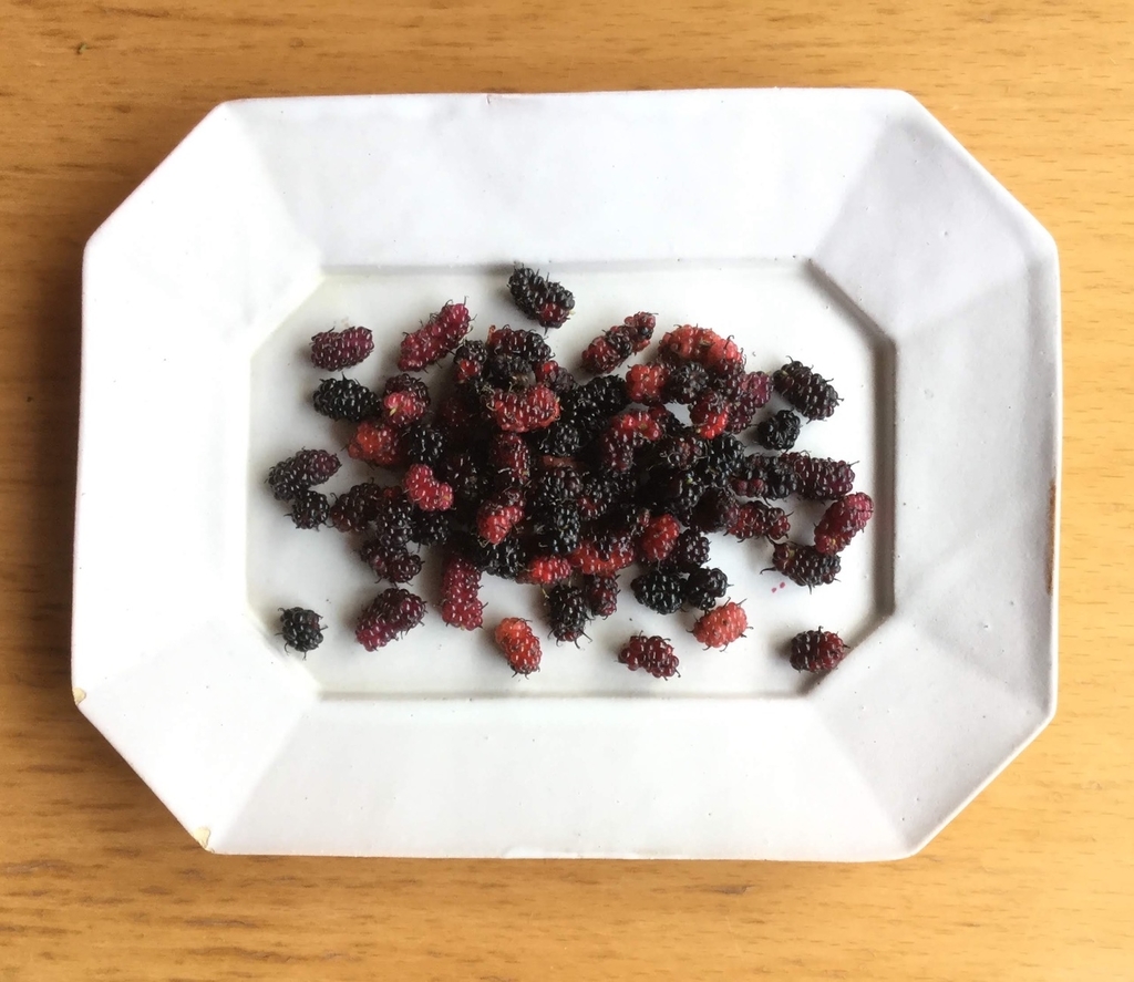 f:id:botanical-kamakura:20180915140752j:plain f:id:botanical-kamakura:20180915140752j:plain