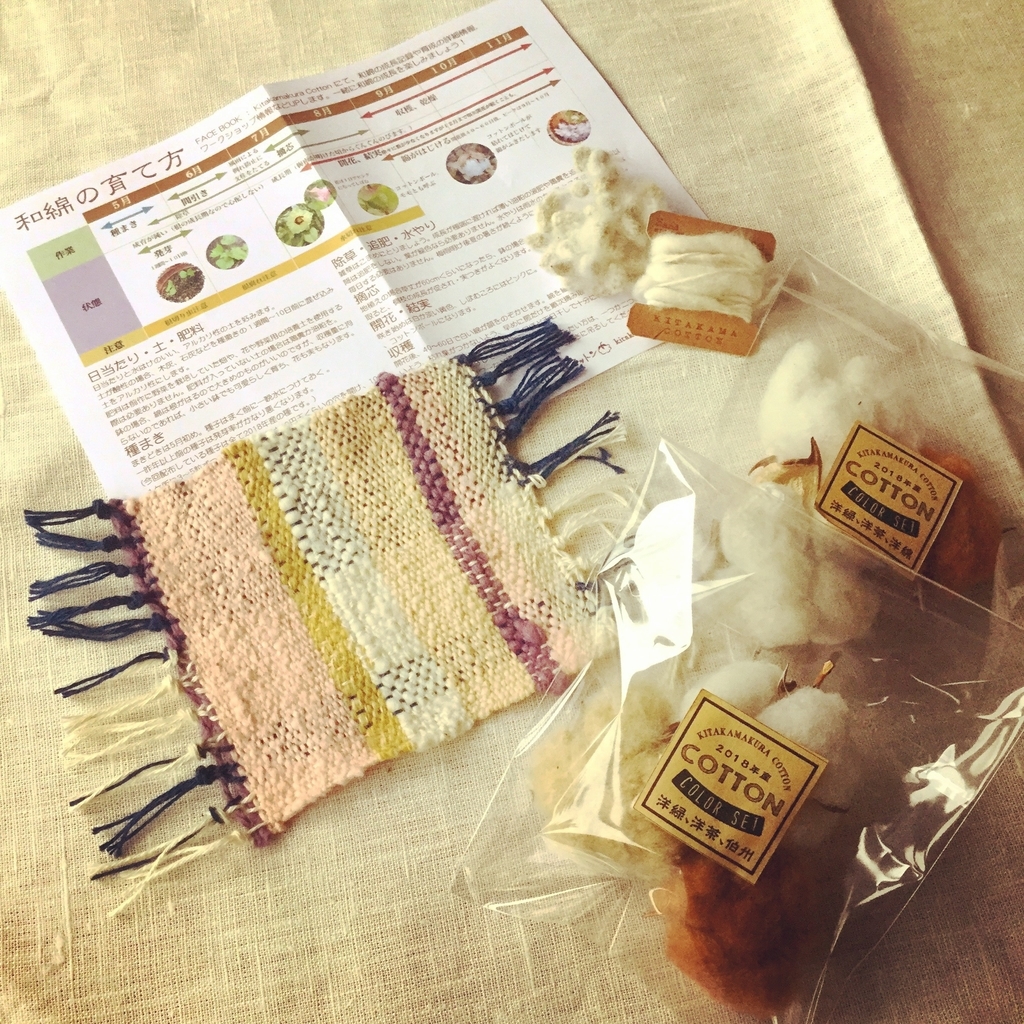 f:id:botanical-kamakura:20181027075457j:plain