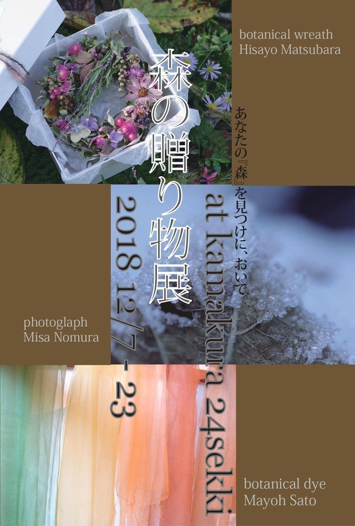f:id:botanical-kamakura:20181103081815j:plain