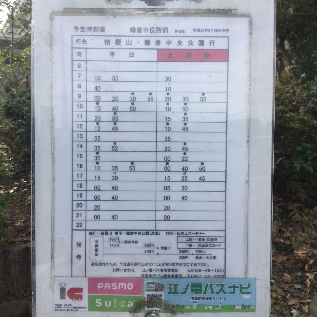 f:id:botanical-kamakura:20181206212553j:plain
