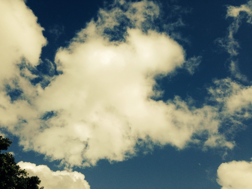 f:id:botansuzu:20151218200614j:plain