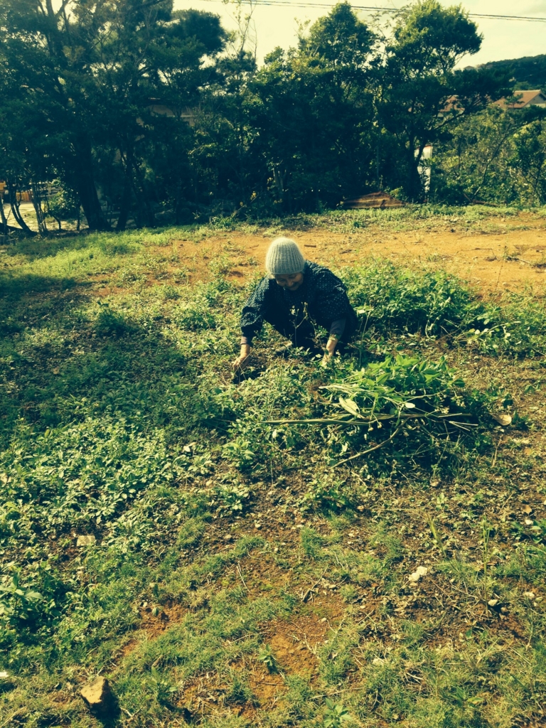 f:id:botansuzu:20151219073444j:plain