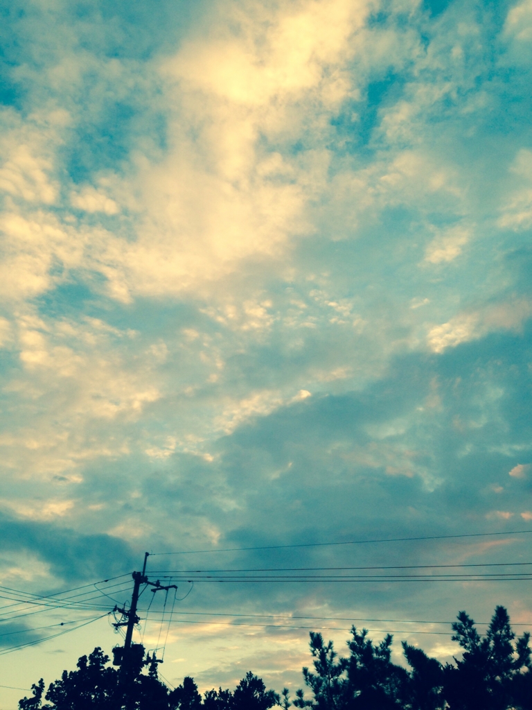 f:id:botansuzu:20151223094459j:plain