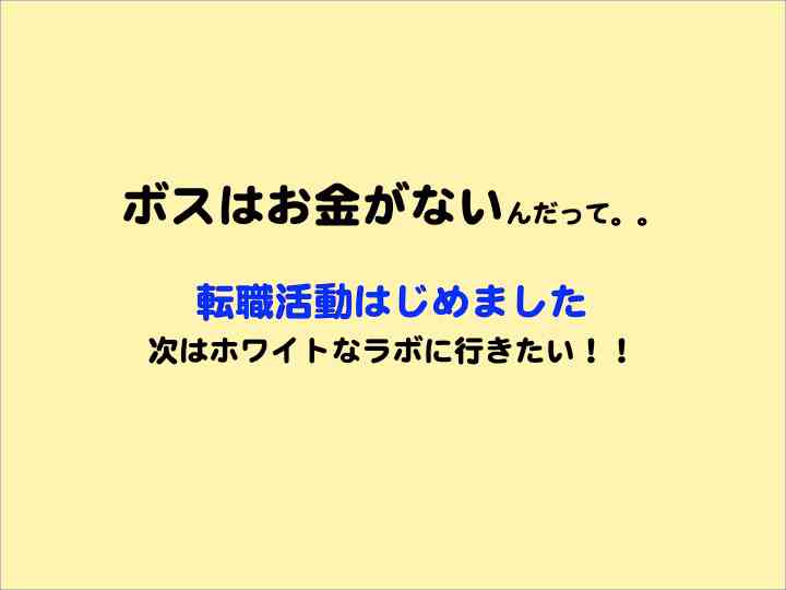 転職活動を始めました。ブラックではなくホワイトなところに行きたいです。