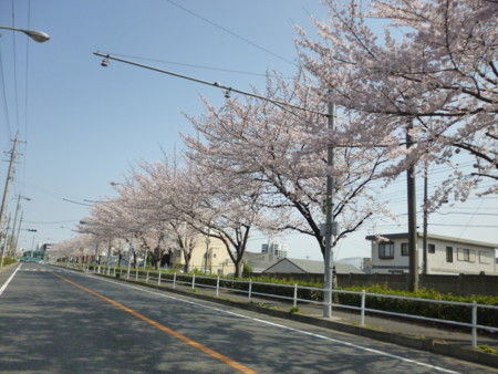 f:id:boteneko:20130330141336j:image