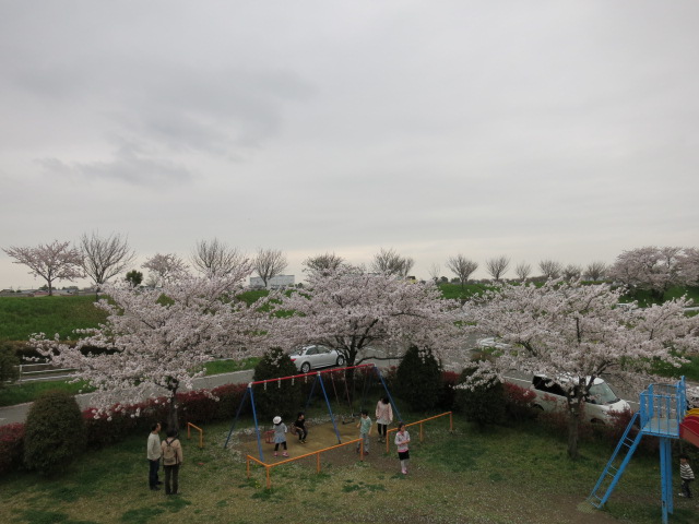 イメージ 2