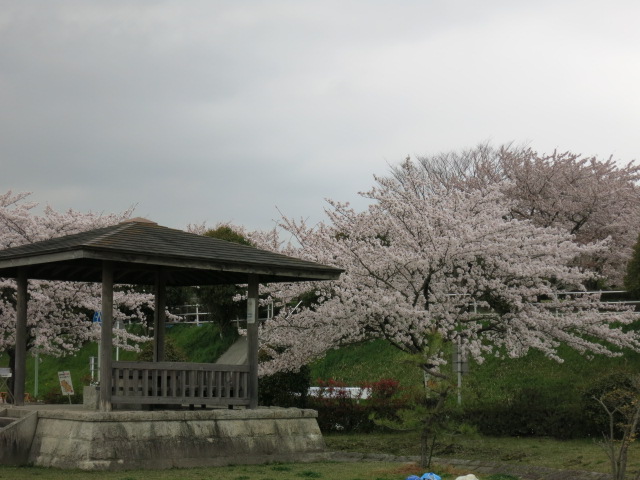 イメージ 4