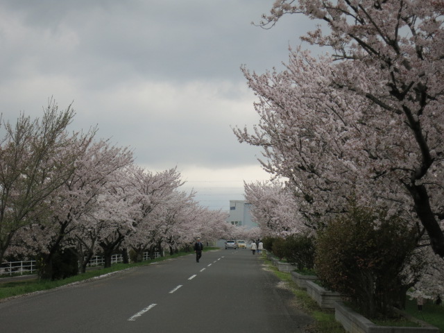 イメージ 5