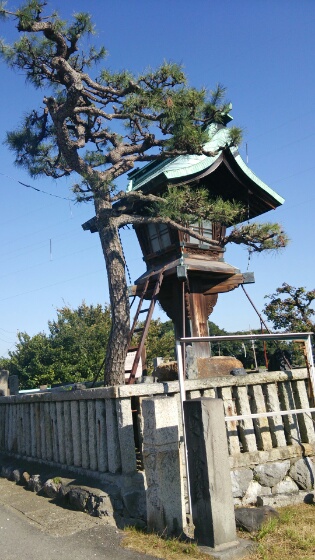 イメージ 6