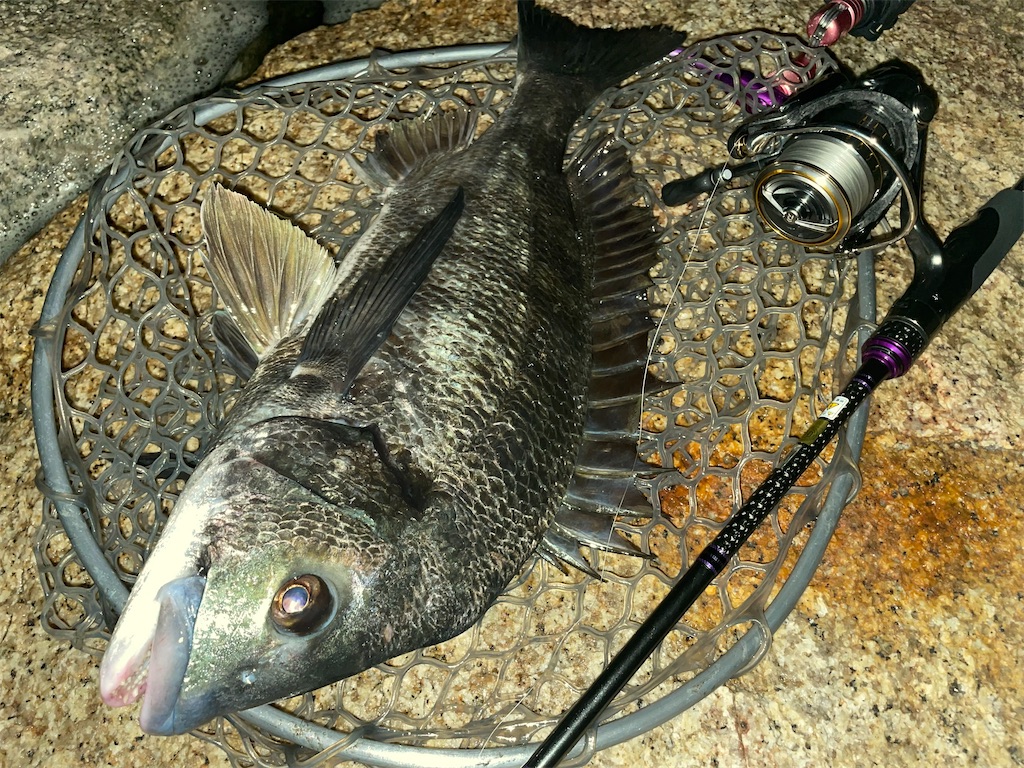 f:id:bottom-fishing:20221129215149j:image