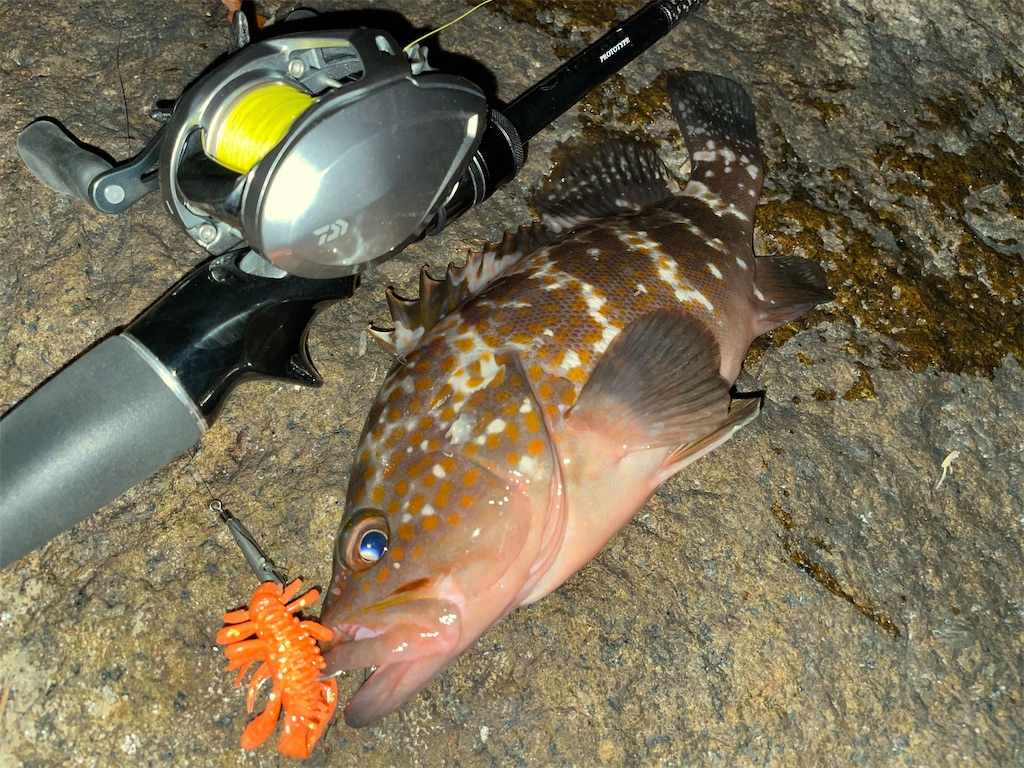 f:id:bottom-fishing:20221204225510j:image
