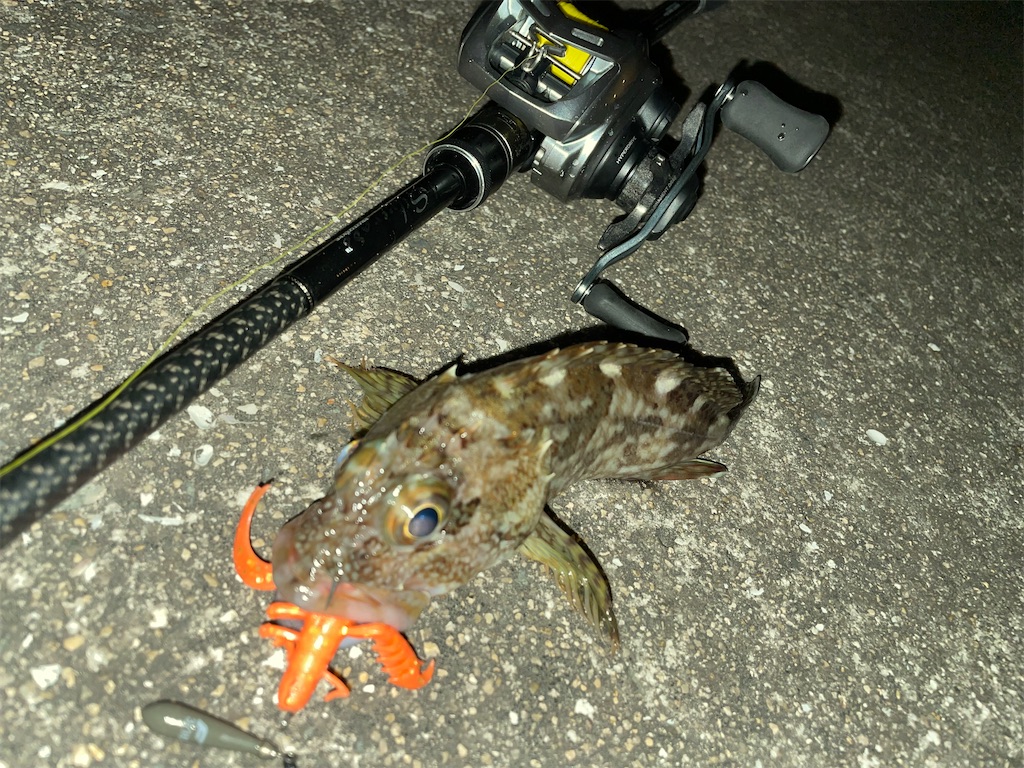 f:id:bottom-fishing:20221204232128j:image