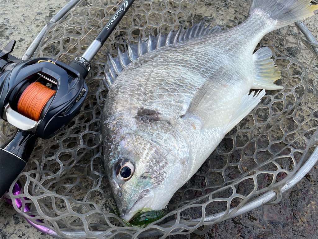 f:id:bottom-fishing:20230104020401j:image