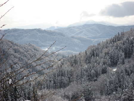 f:id:boukanrisha:20080102102432j:image
