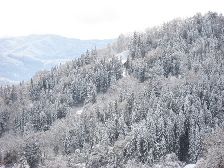 f:id:boukanrisha:20080102102445j:image