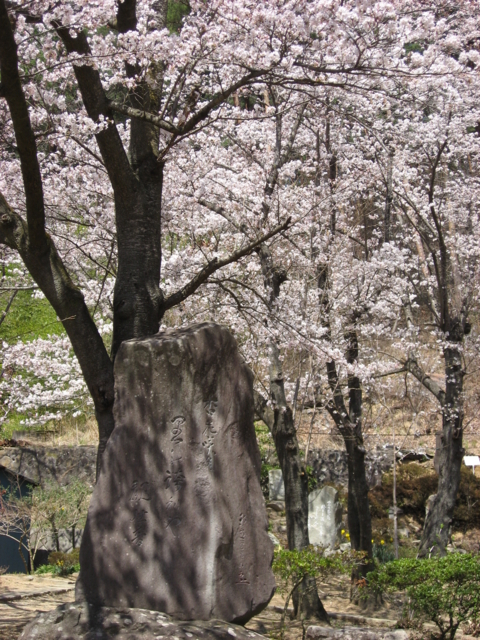 f:id:boukanrisha:20090411115834:image