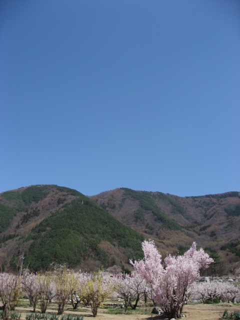f:id:boukanrisha:20090411122958j:image