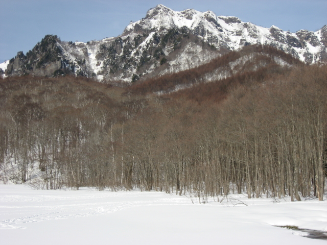 f:id:boukanrisha:20130113121857j:image