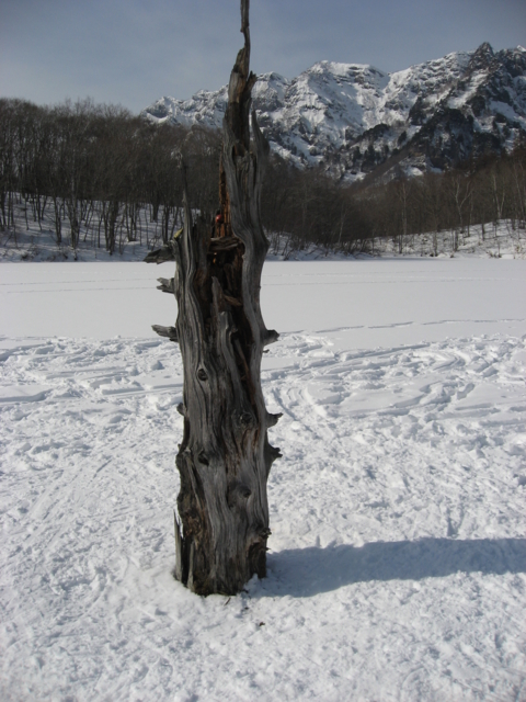 f:id:boukanrisha:20130113122137j:image