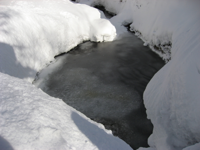 f:id:boukanrisha:20150103115206j:image