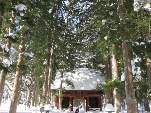 f:id:boukanrisha:20150103120559j:image