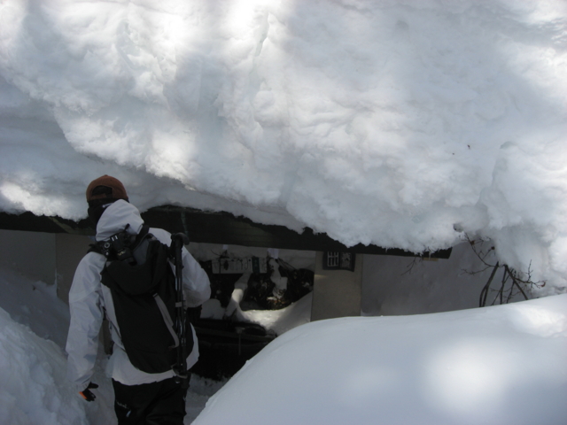 f:id:boukanrisha:20150103122921j:image