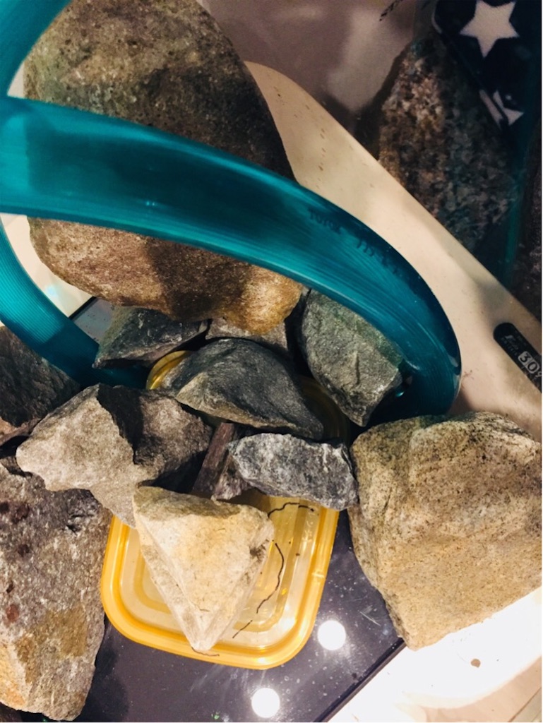 f:id:boukenshaLv1:20190106233651j:plain f:id:boukenshaLv1:20190106233651j:plain
