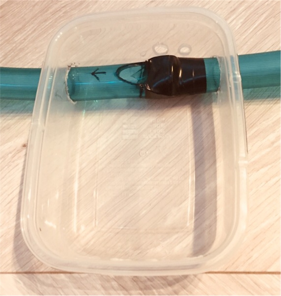 f:id:boukenshaLv1:20190106233953j:plain f:id:boukenshaLv1:20190106233953j:plain