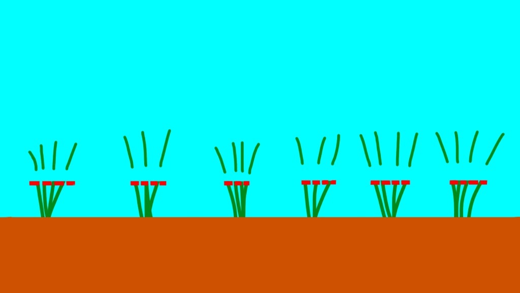 f:id:boukenshaLv1:20190110204619j:plain