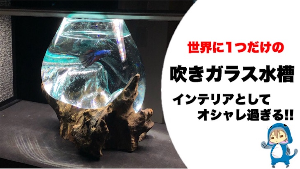 f:id:boukenshaLv1:20200412222501j:image f:id:boukenshaLv1:20200412222501j:image