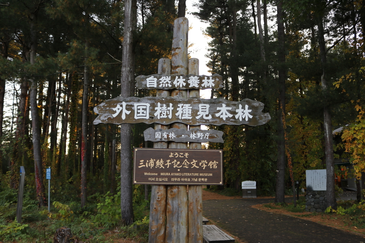 f:id:bound4aomori:20201220022934j:plain