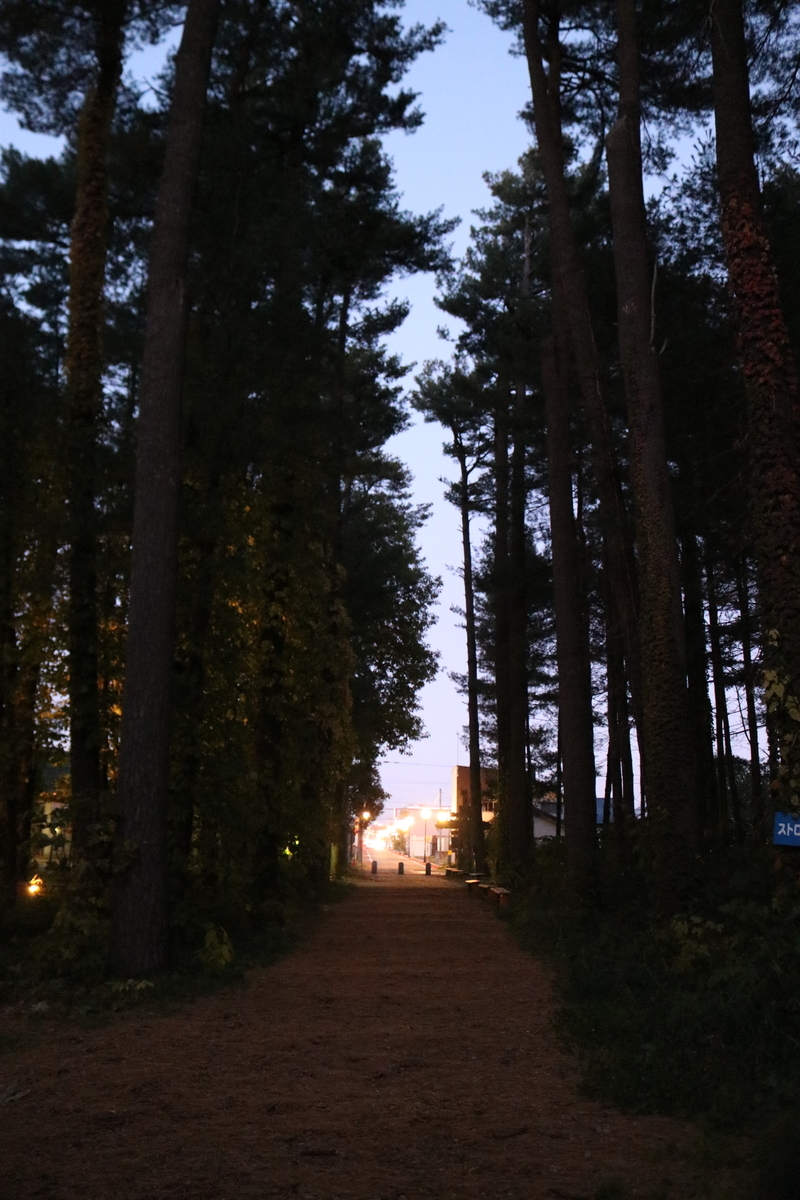f:id:bound4aomori:20201220024649j:plain