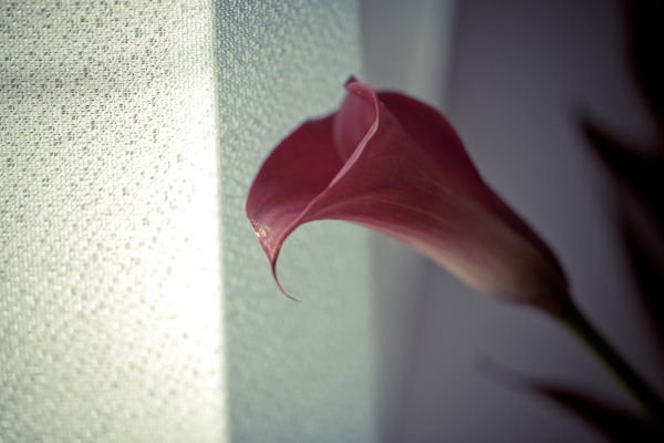 f:id:boundary-line:20120109150122j:image f:id:boundary-line:20120109150122j:image