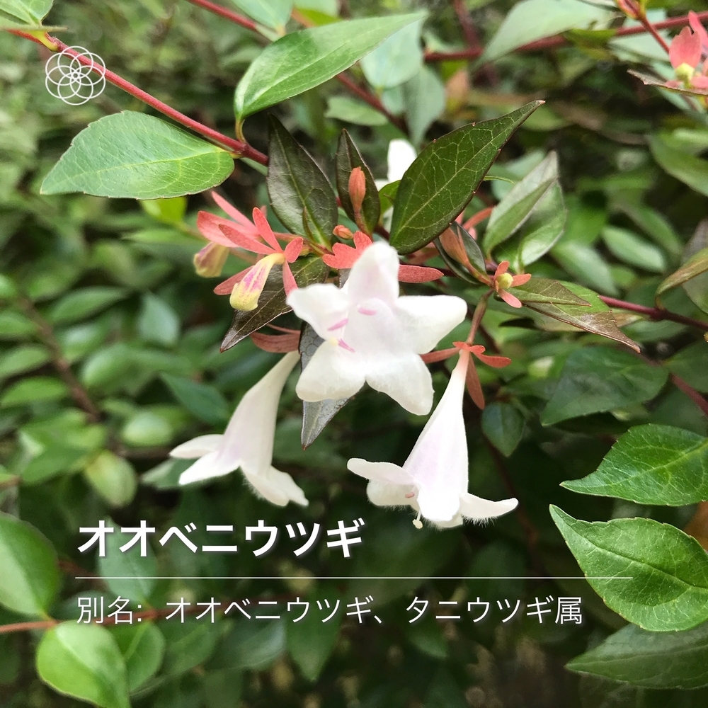 f:id:boundary-line:20200523124037j:plain f:id:boundary-line:20200523124037j:plain