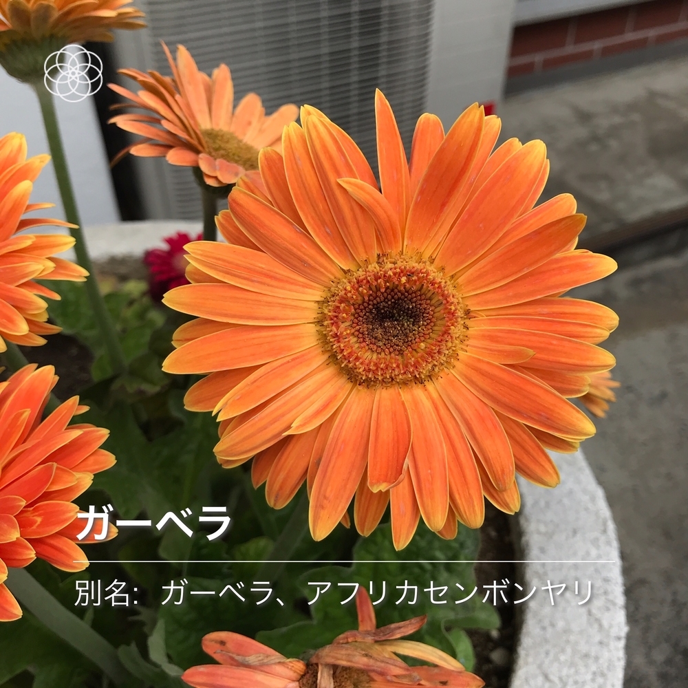 f:id:boundary-line:20200523124039j:plain f:id:boundary-line:20200523124039j:plain