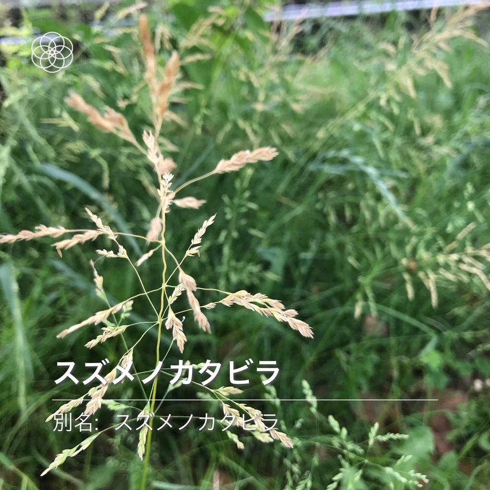 f:id:boundary-line:20200523124043j:plain f:id:boundary-line:20200523124043j:plain
