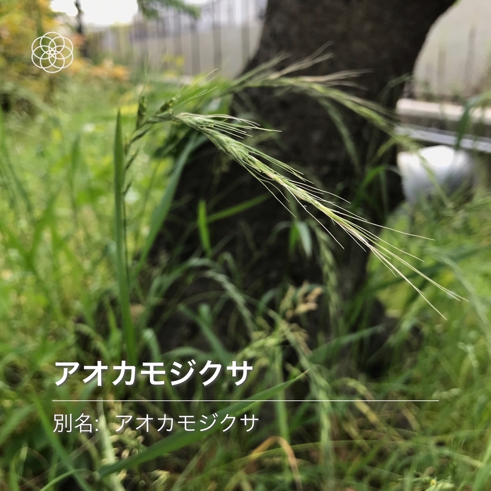 f:id:boundary-line:20200523124048j:plain f:id:boundary-line:20200523124048j:plain