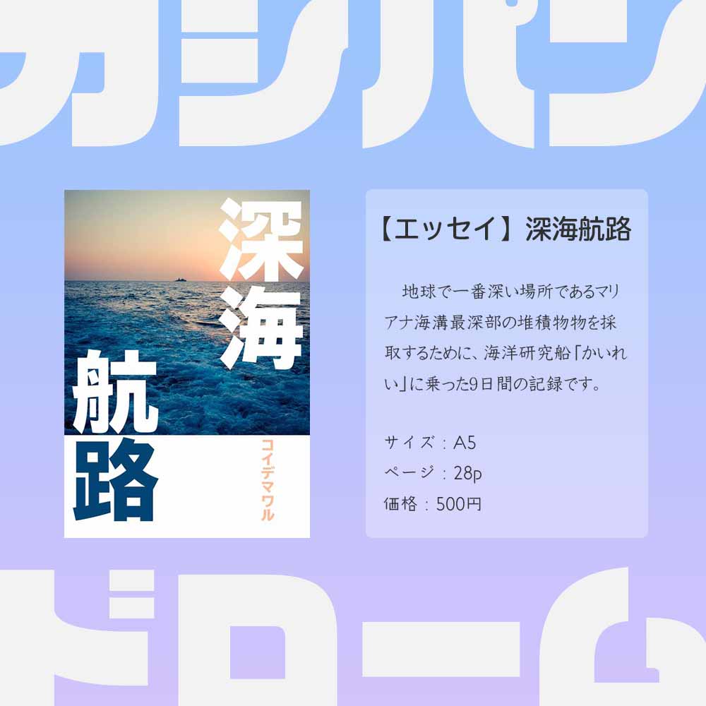f:id:boundary-line:20201214082833j:plain