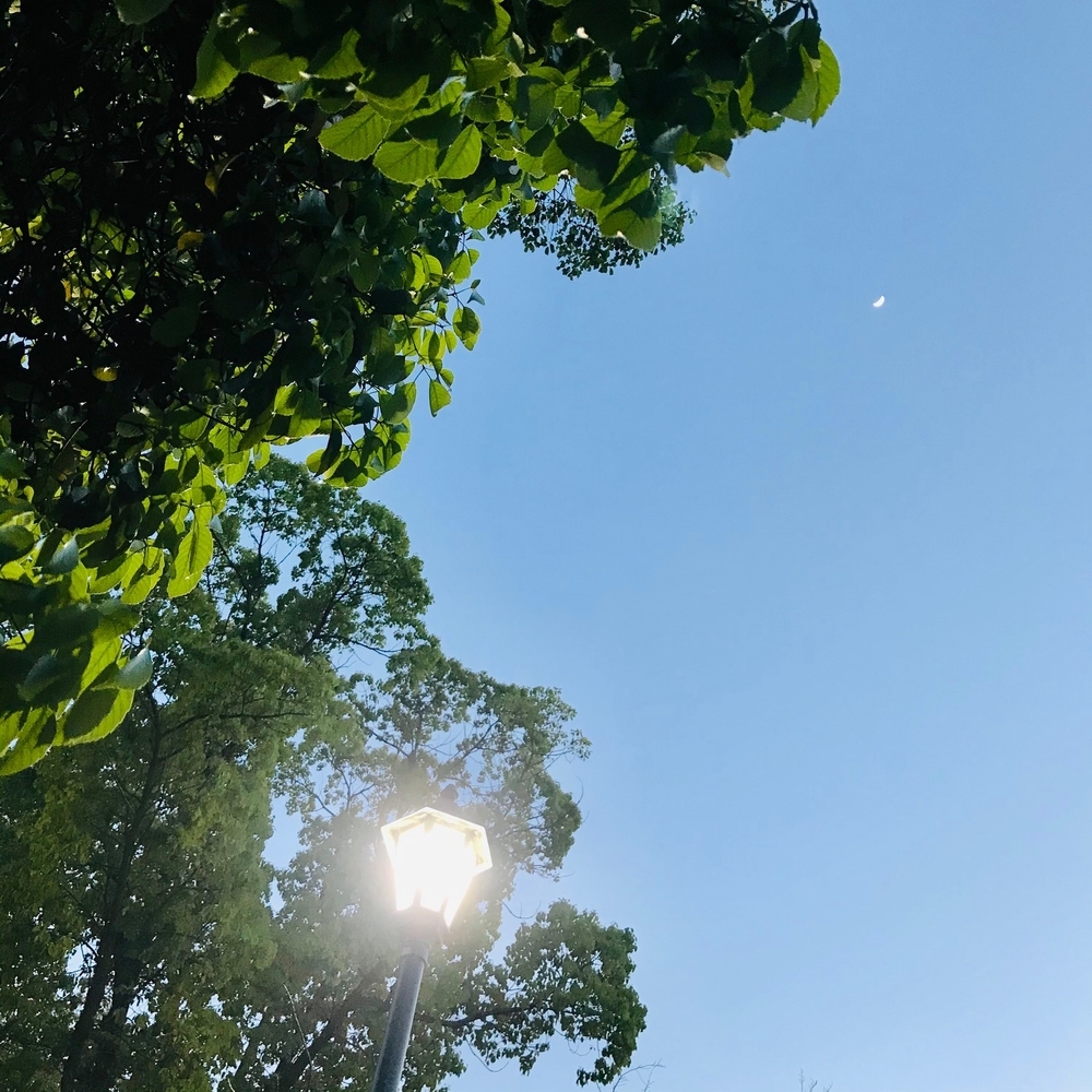 f:id:boundary-line:20210418191827j:plain