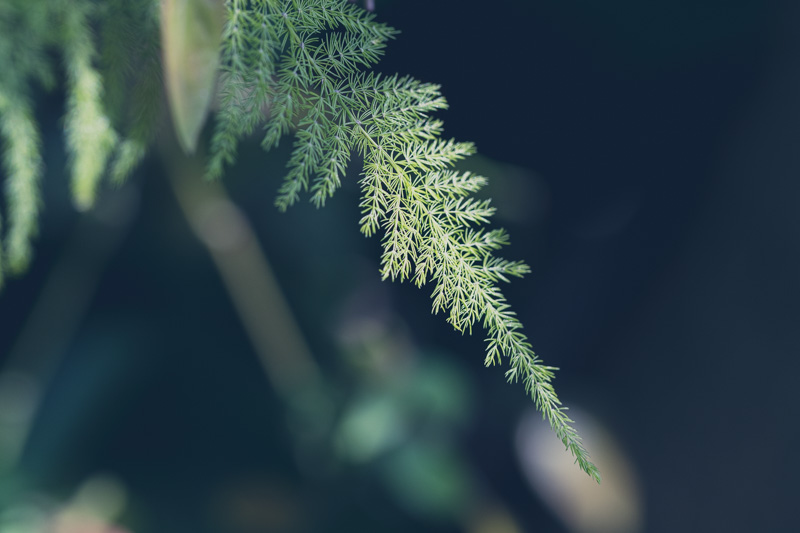 f:id:boundary-line:20210503212843j:plain