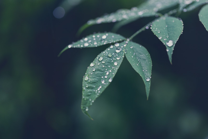 f:id:boundary-line:20210507071328j:plain