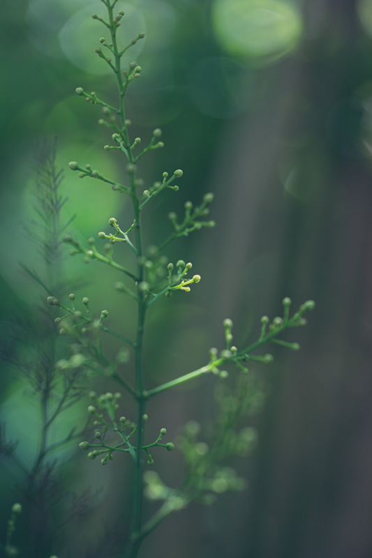 f:id:boundary-line:20210507071435j:plain