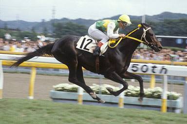 Mr.C.B. ミスターシービー（みすたあしいびいぃ）2