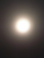 f:id:bousisensei:20070104074807j:image f:id:bousisensei:20070104074807j:image
