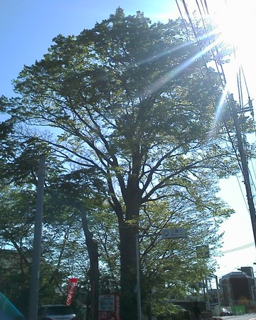 f:id:bousisensei:20070429144246j:image