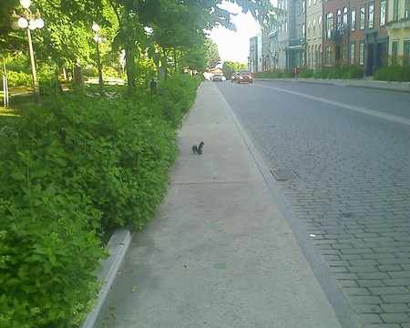 f:id:bousisensei:20080711202729j:image