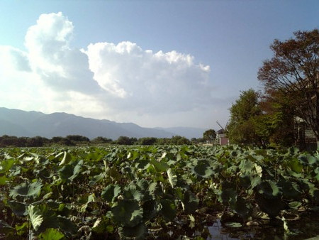 f:id:bousisensei:20081008141500j:image f:id:bousisensei:20081008141500j:image