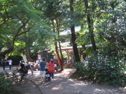 f:id:bousisensei:20090905135256j:image:right