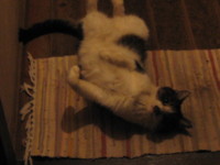 f:id:bousisensei:20090928204205j:image