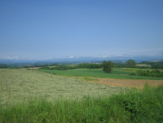 f:id:bousisensei:20100614134746j:image:right